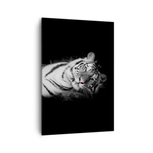 Impression sur toile - Image sur toile - Un tigre blanc rendu artistiquement sur un fond noir - 70x100cm - Sauvagerie et paix - Décoration murale moderne pour le salon et la chambre ARTTOR