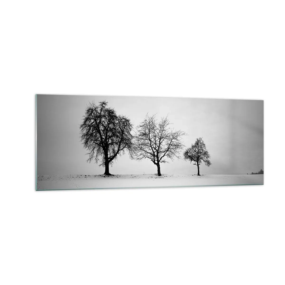 Impression sur verre - Image sur verre - Trois arbres dans un champ enneigé dans un style monochrome - 140x50cm - A quoi rêvent-ils? - Décoration murale moderne pour le salon et la chambre ARTTOR