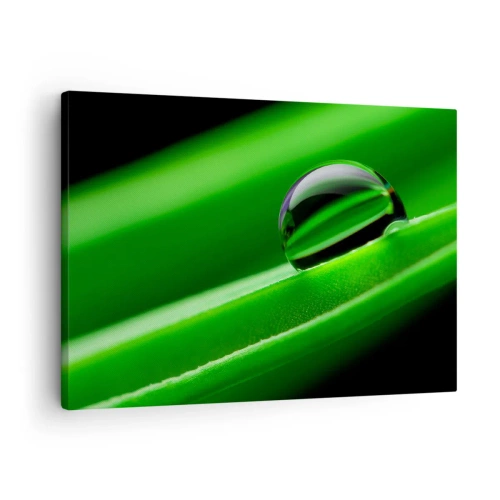 Impression sur toile - Image sur toile - Gros plan d'une goutte de rosée sur une feuille verte - 70x50cm - La vie de près - Décoration murale moderne pour le salon et la chambre ARTTOR