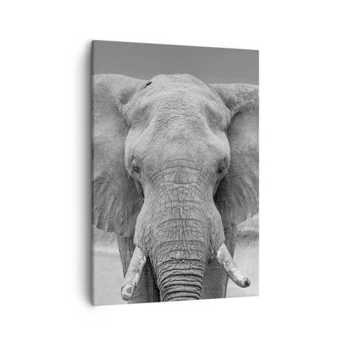 Impression sur toile - Image sur toile - Portrait d'un éléphant en noir et blanc - 50x70cm - Bienvenue dans mon monde - Décoration murale moderne pour le salon et la chambre ARTTOR