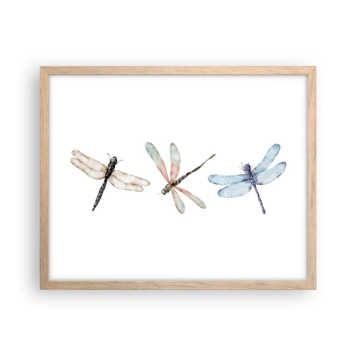 Affiche dans un chêne clair - Poster - Libellules en apesanteur - 50x40 cm