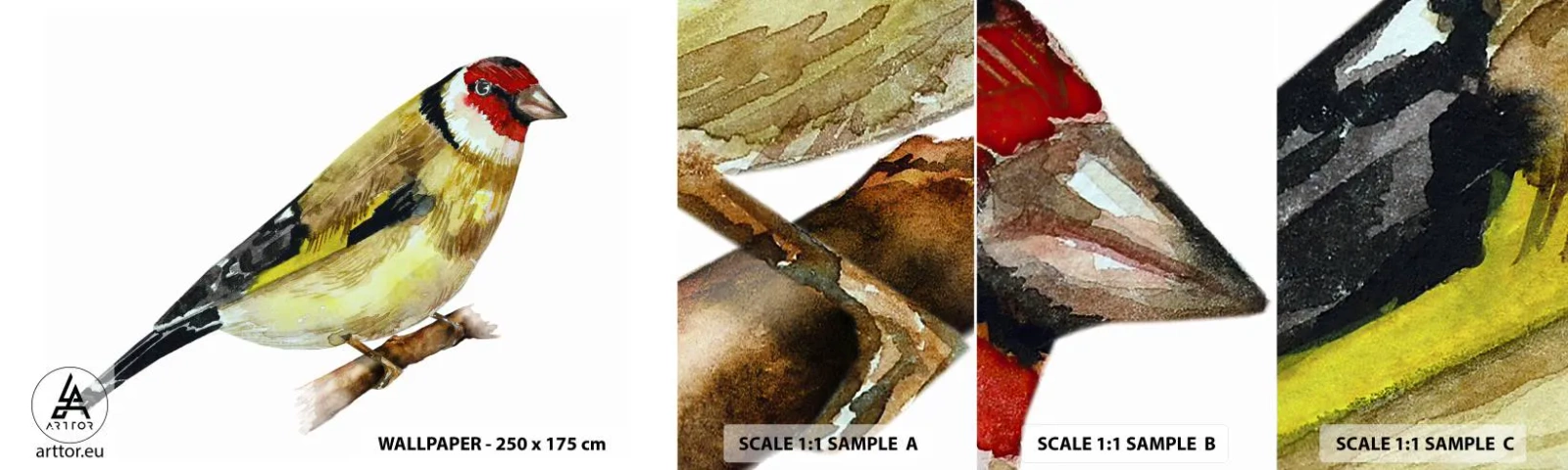 Échantillon de Papier Peint Autocollant Deluxe Sticker - Portrait d'oiseau - Chardonneret, Oiseau, Morceau - 100x30 cm