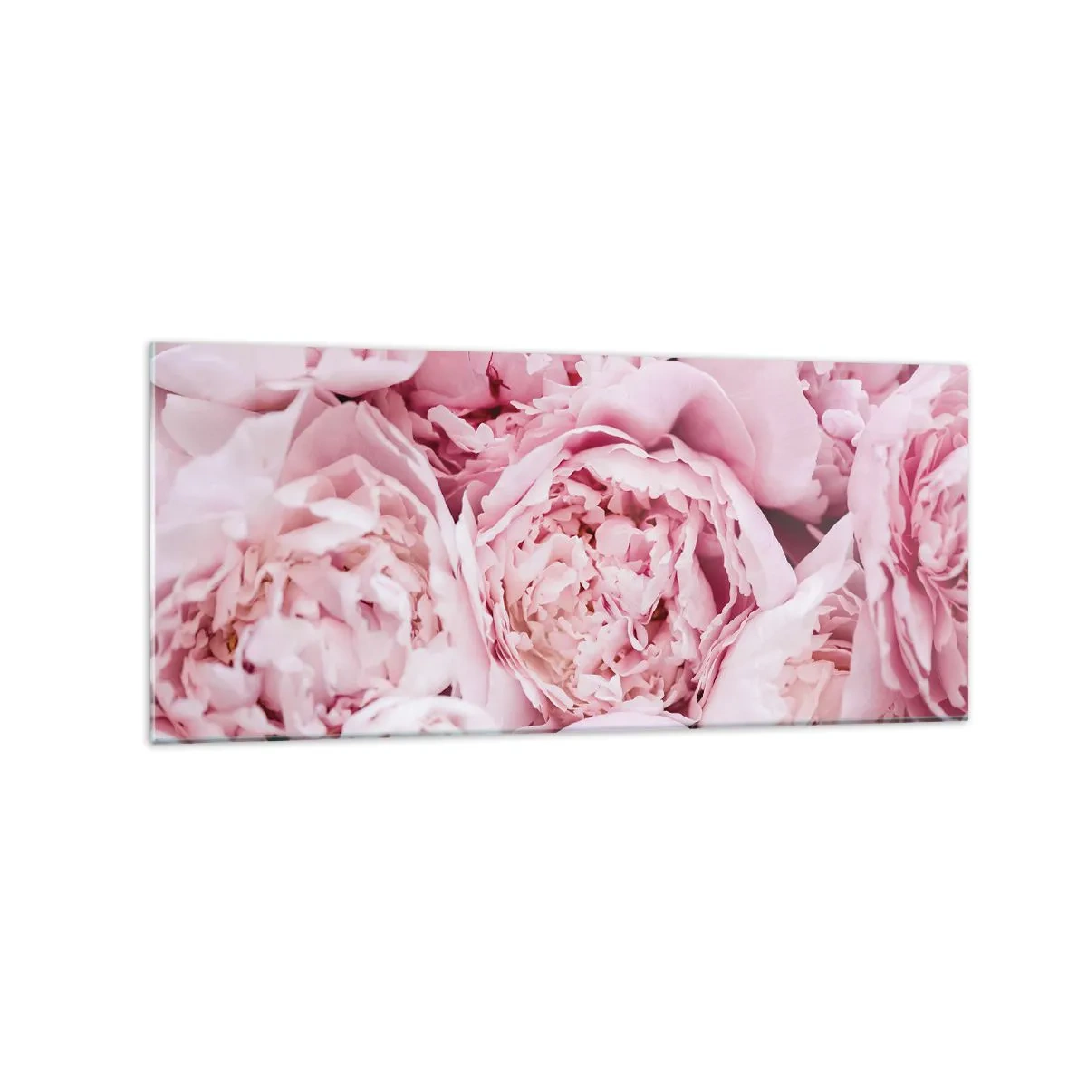 Impression sur verre - Image sur verre - Gros plan d'un bouquet de pivoines roses - 120x50cm - Caliné et parfumé - Décoration murale moderne pour le salon et la chambre ARTTOR