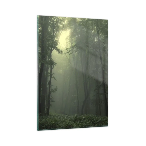 Impression sur verre - Image sur verre - Une forêt verte le matin enveloppée d'un brouillard délicat - 80x120cm - Avant qu'il ne se réveille - Décoration murale moderne pour le salon et la chambre ARTTOR
