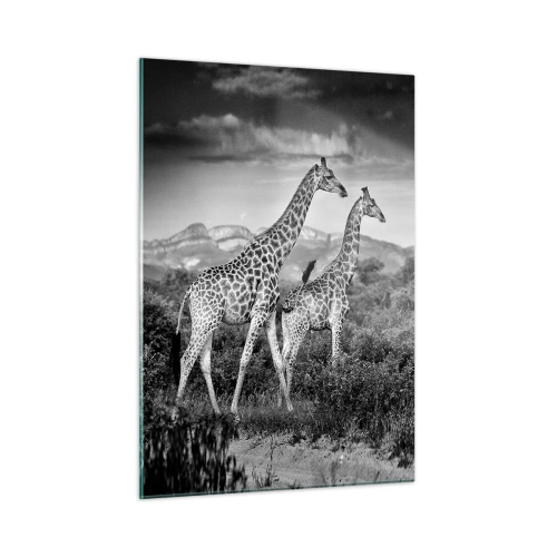 Impression sur verre - Image sur verre - Une photographie en noir et blanc de deux girafes dans la savane. - 50x70cm - Hautes sphères en Afrique - Décoration murale moderne pour le salon et la chambre ARTTOR