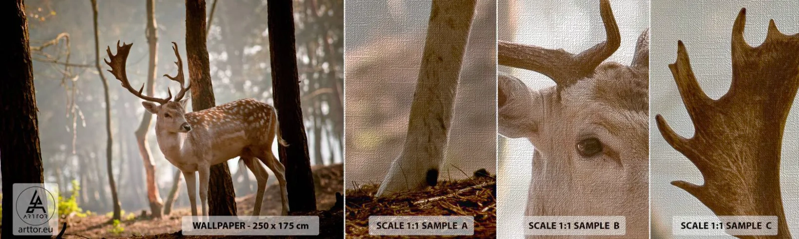 Échantillon de Papier Peint Premium Canvas - La lumière de la jeunesse - Animaux, Cerf, Forêt - 100x30 cm