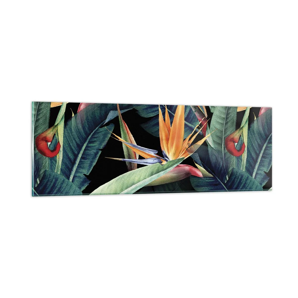 Impression sur verre - Image sur verre - Fleurs flamboyantes des tropiques - 90x30 cm