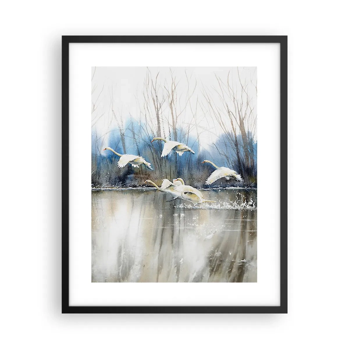 Affiche dans un cadre noir - Poster - Comme dans un conte de fées sur les cygnes sauvages - 40x50 cm