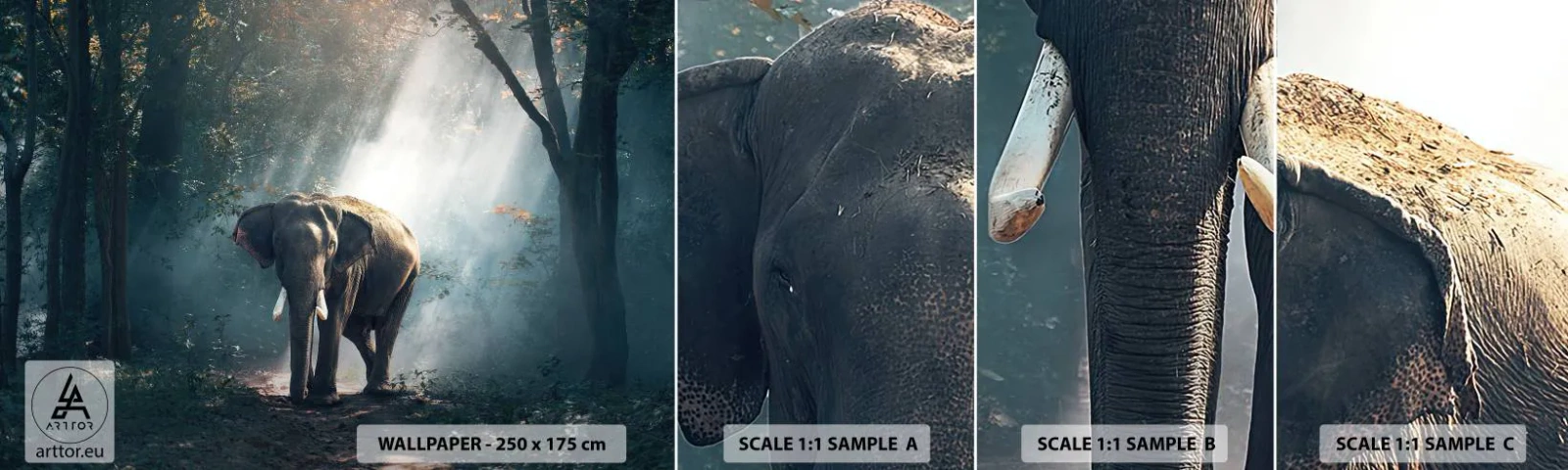 Échantillon De Papier Peint Standard Eco - Une balade tranquille - Animaux, Éléphant, Jungle - 100x30 cm