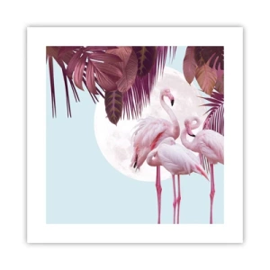 Affiche - Poster - Trois oiseaux gracieux - 40x40 cm