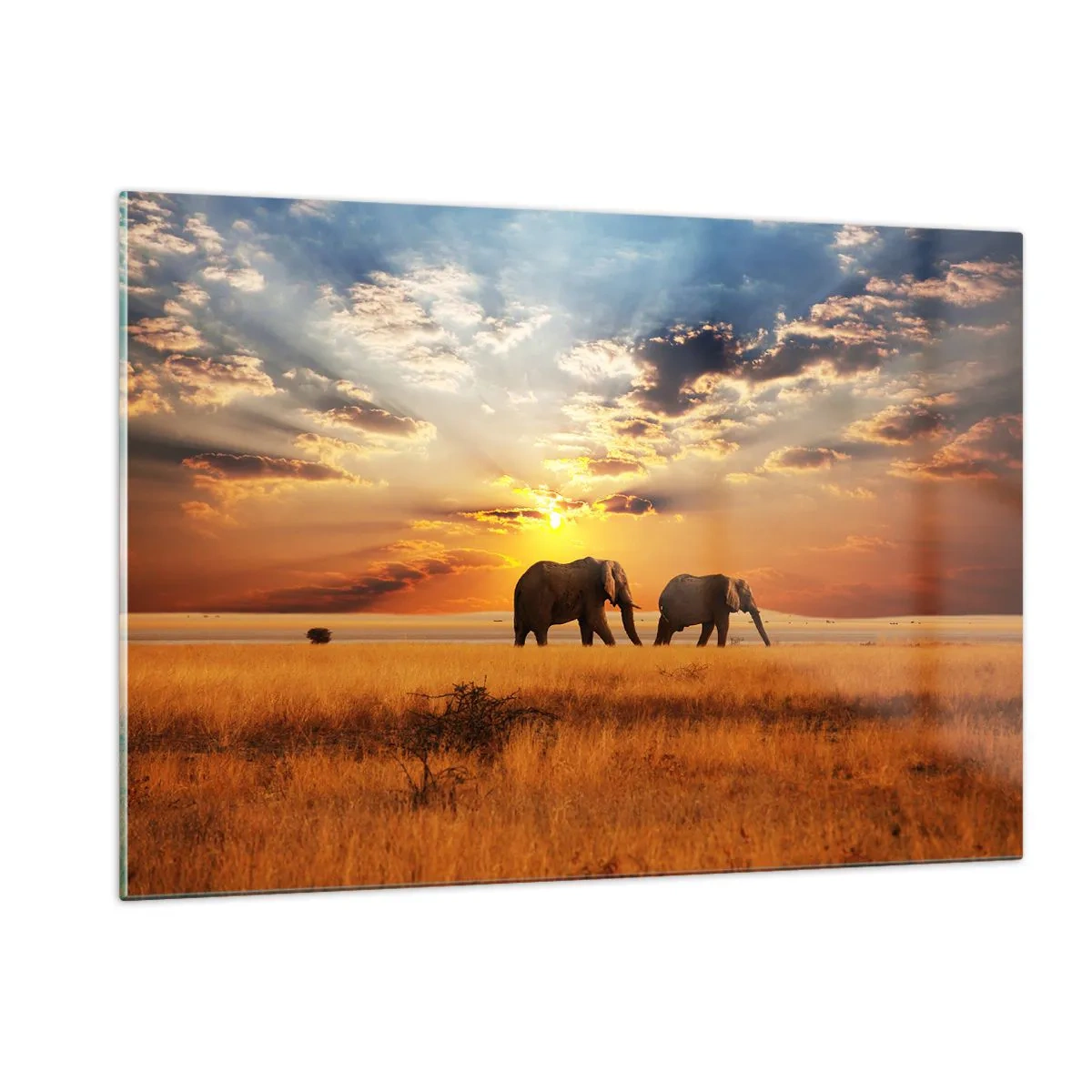Impression sur verre - Image sur verre - Éléphants dans la savane africaine au coucher du soleil - 120x80cm - Déambulation familliale - Décoration murale moderne pour le salon et la chambre ARTTOR