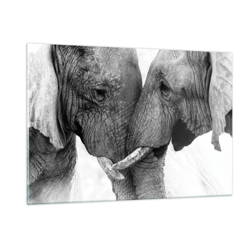 Impression sur verre - Image sur verre - Deux éléphants se touchant le front en noir et blanc - 120x80cm - Confession sincère - Décoration murale moderne pour le salon et la chambre ARTTOR