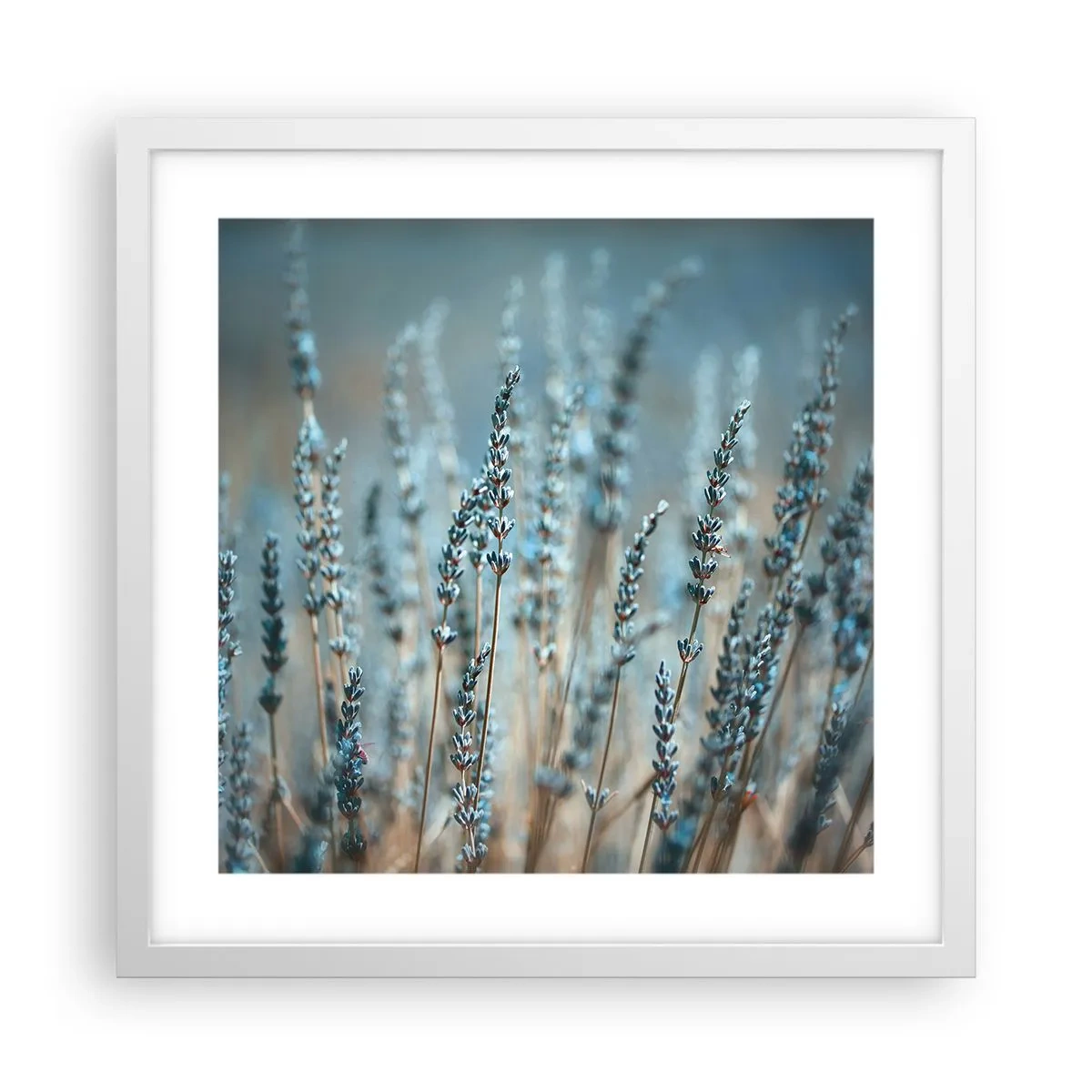 Affiche dans un cadre blanc - Poster - Tige odorante - 40x40 cm