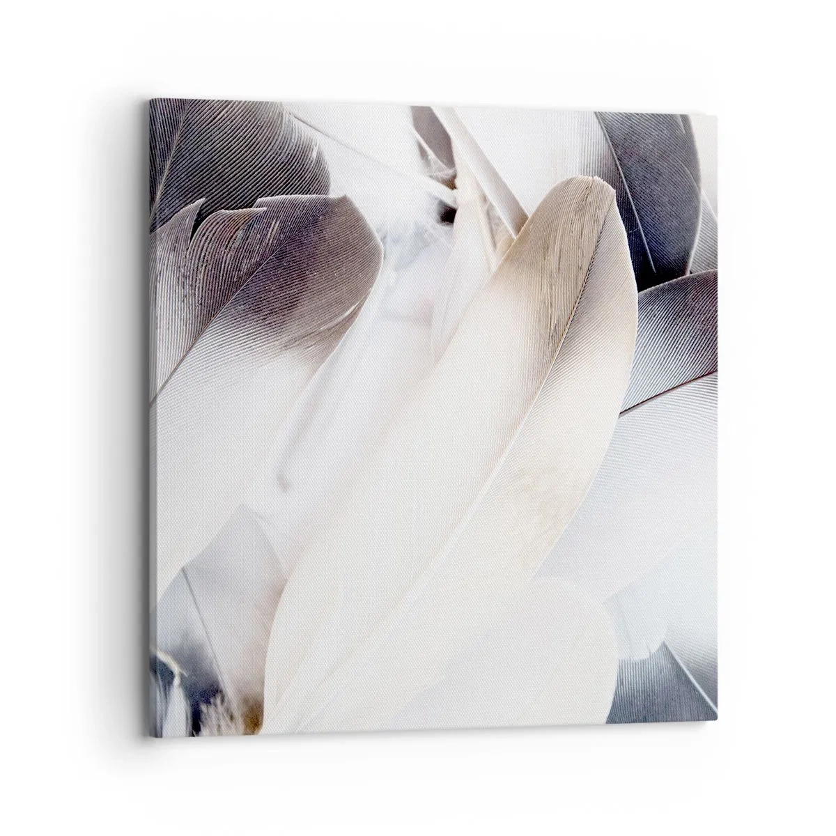 Impression sur toile - Image sur toile - Presque angélique - 70x70 cm