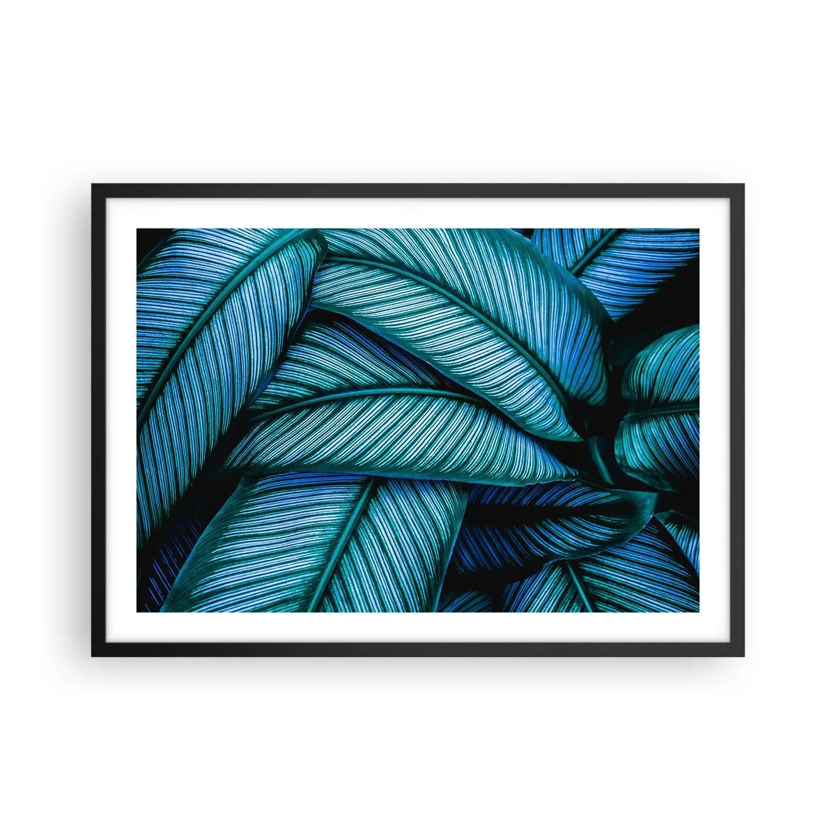 Affiche dans un cadre noir - Poster - Un gros plan de feuilles turquoise avec des détails vifs. - 70x50cm - Lignes de vie - Décoration murale moderne pour le salon et la chambre ARTTOR