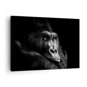 Impression sur toile - Image sur toile - Portrait noir et blanc d'un gorille majestueux - 70x50cm - Et qu'est-ce que tu regardes? - Décoration murale moderne pour le salon et la chambre ARTTOR