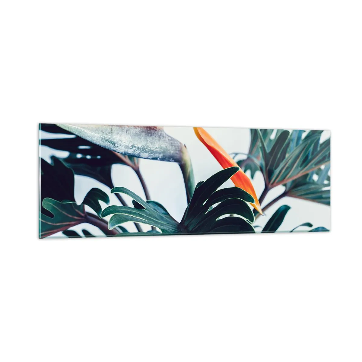 Impression sur verre - Image sur verre - Le buisson oiseaux - 90x30 cm