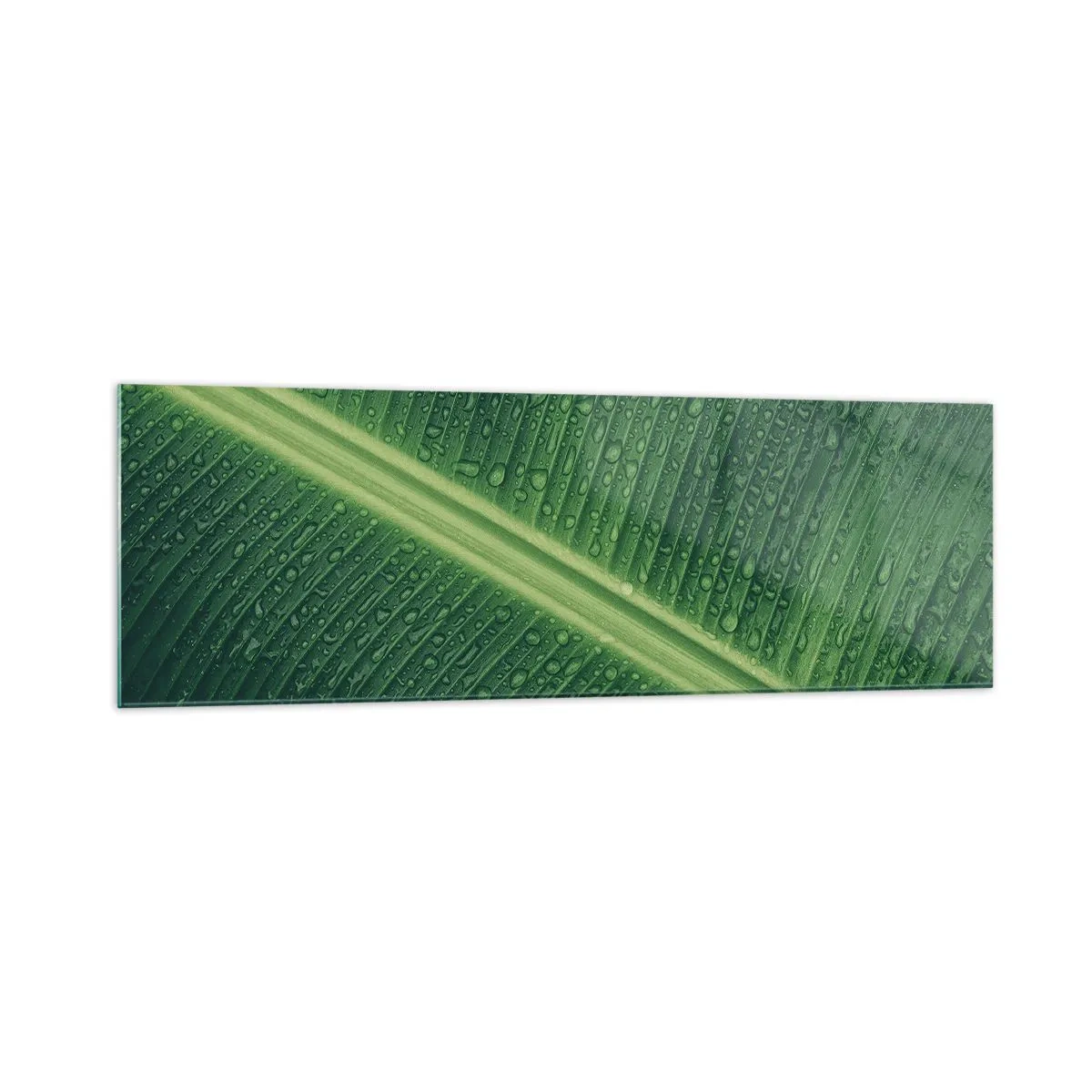 Impression sur verre - Image sur verre - Une feuille verte avec des gouttes d'eau à sa surface - 160x50cm - Structure de vert - Décoration murale moderne pour le salon et la chambre ARTTOR