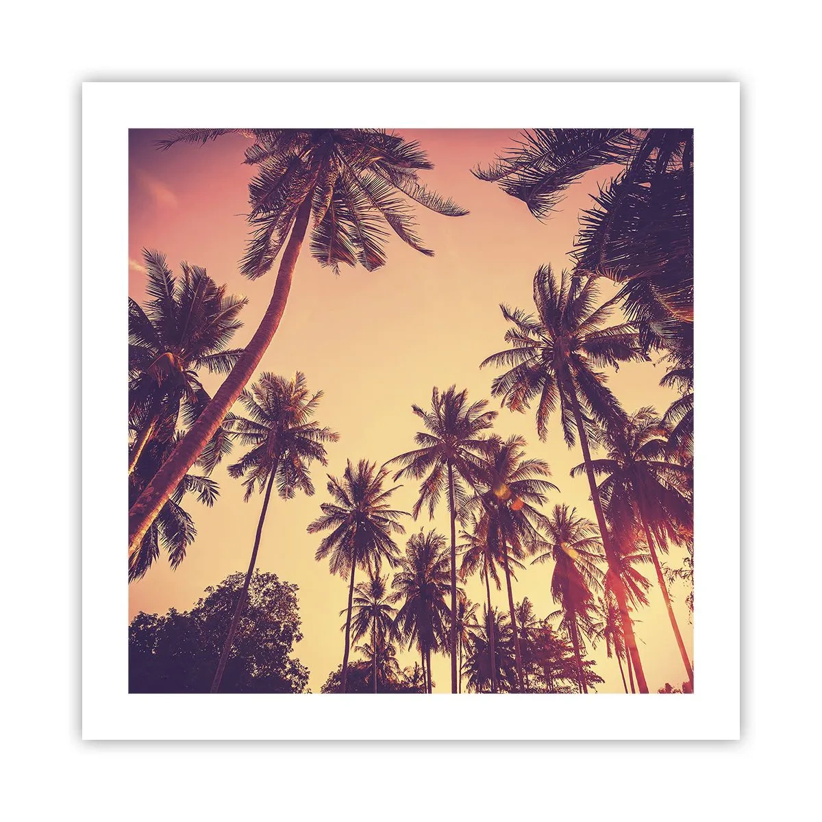 Affiche - Poster - Variation tropicale - 50x50 cm