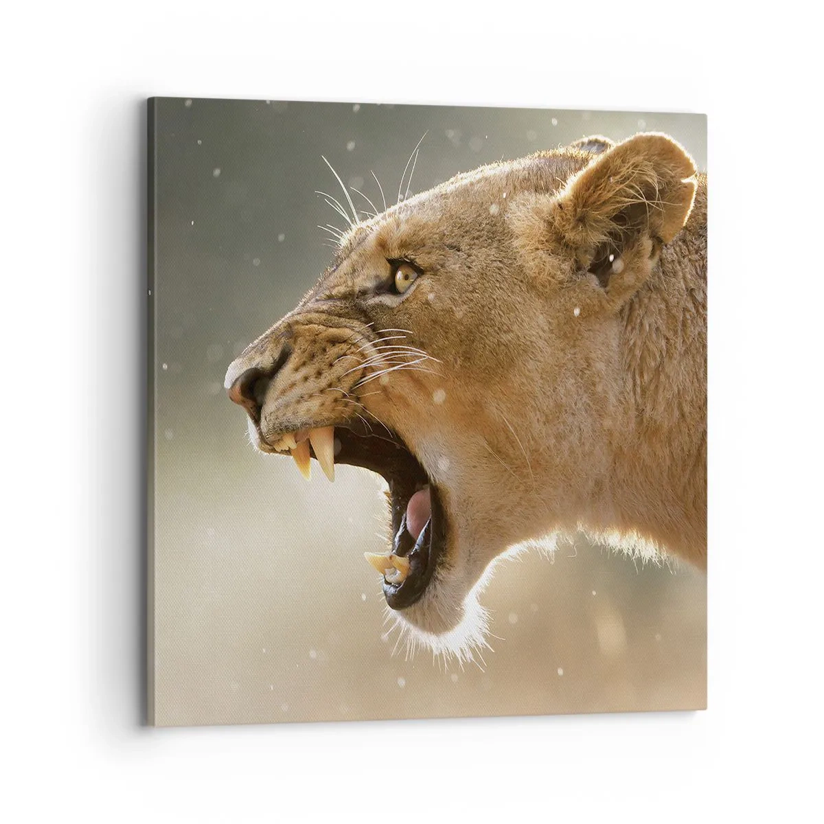 Impression sur toile - Image sur toile - Essayez de ne pas écouter - 70x70 cm