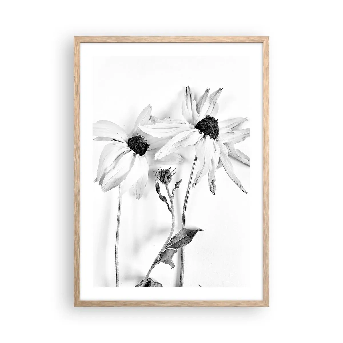 Affiche dans un chêne clair - Poster - Personne ne souhaite être seul - 50x70 cm