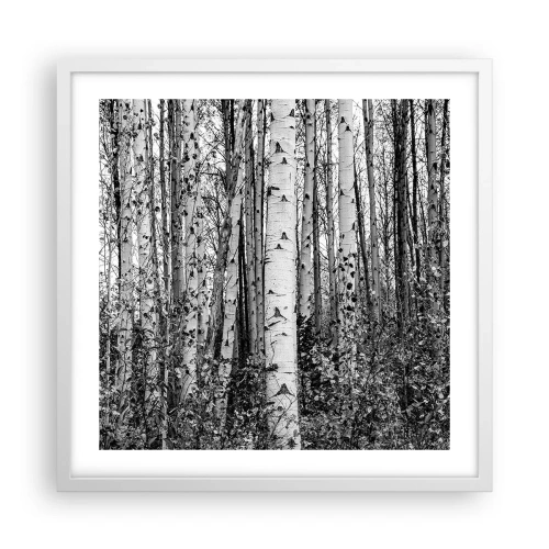 Affiche dans un cadre blanc - Poster - Enchevêtrement de bouleau - 50x50 cm