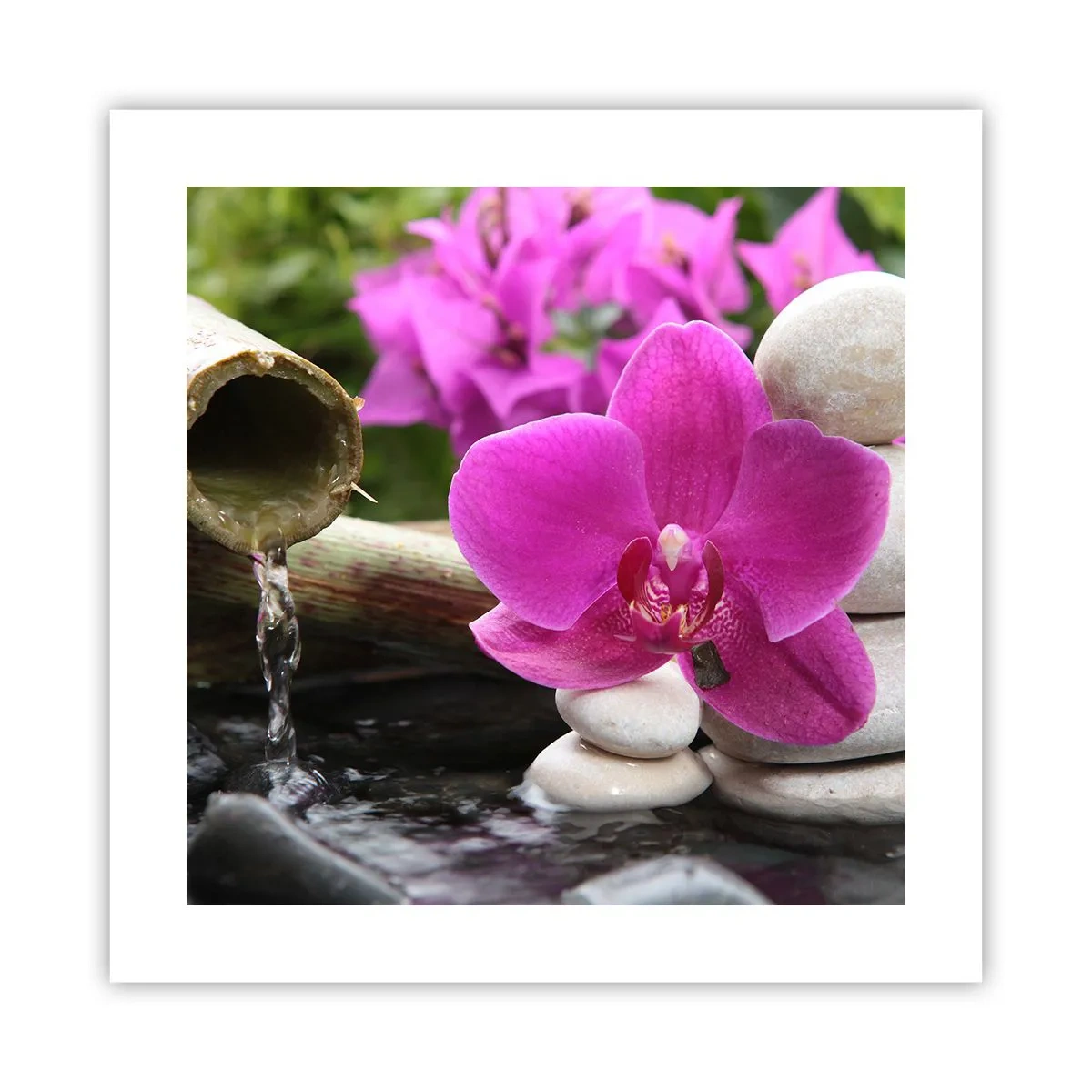 Affiche - Poster - Tu te reposes déjà - 40x40 cm