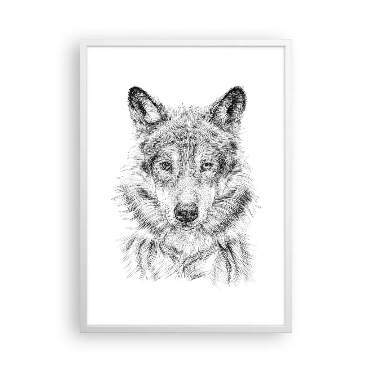 Affiche dans un cadre blanc - Poster - Un leader né - 50x70 cm