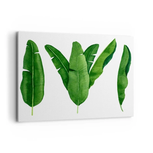 Impression sur toile - Image sur toile - Trois feuilles de bananier dans une approche artistique - 100x70cm - Symétrie verte - Décoration murale moderne pour le salon et la chambre ARTTOR