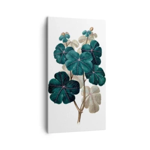 Impression sur toile - Image sur toile - De l'ancien herbier - 45x80 cm