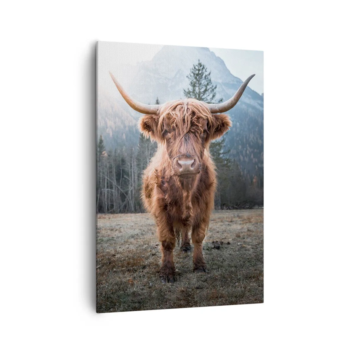 Impression sur toile - Image sur toile - Salutations des prairies de montagne - 70x100 cm