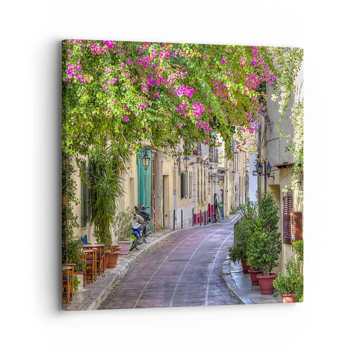Impression sur toile - Image sur toile - Allée fleurie - 30x30 cm