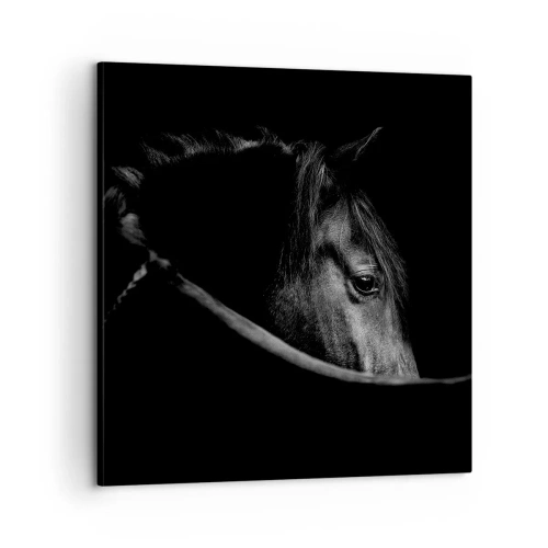 Impression sur toile - Image sur toile - Prince Noir - 60x60 cm