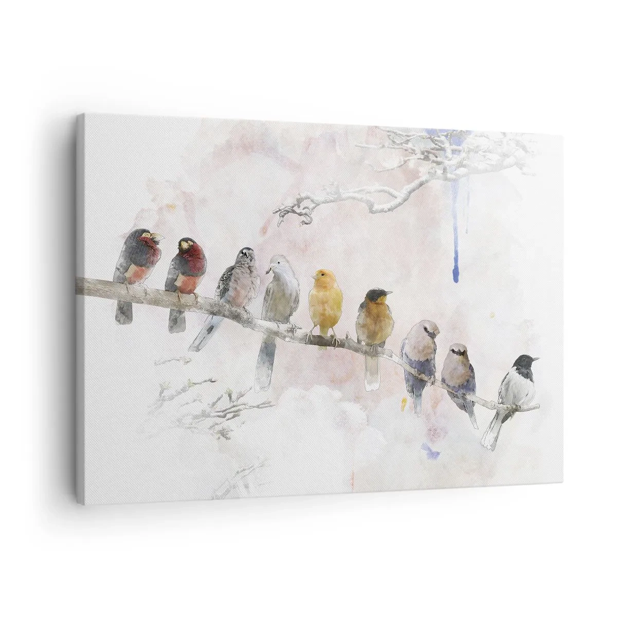 Impression sur toile - Image sur toile - Oiseaux colorés sur une branche dans un style aquarelle - 70x50cm - Rencontre ailée - Décoration murale moderne pour le salon et la chambre ARTTOR