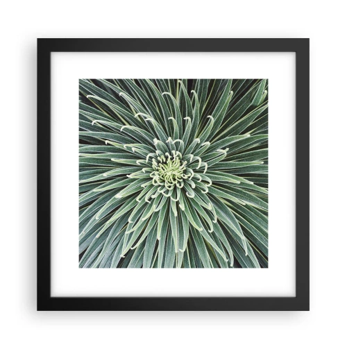 Affiche dans un cadre noir - Poster - Naissance d'une étoile - 30x30 cm