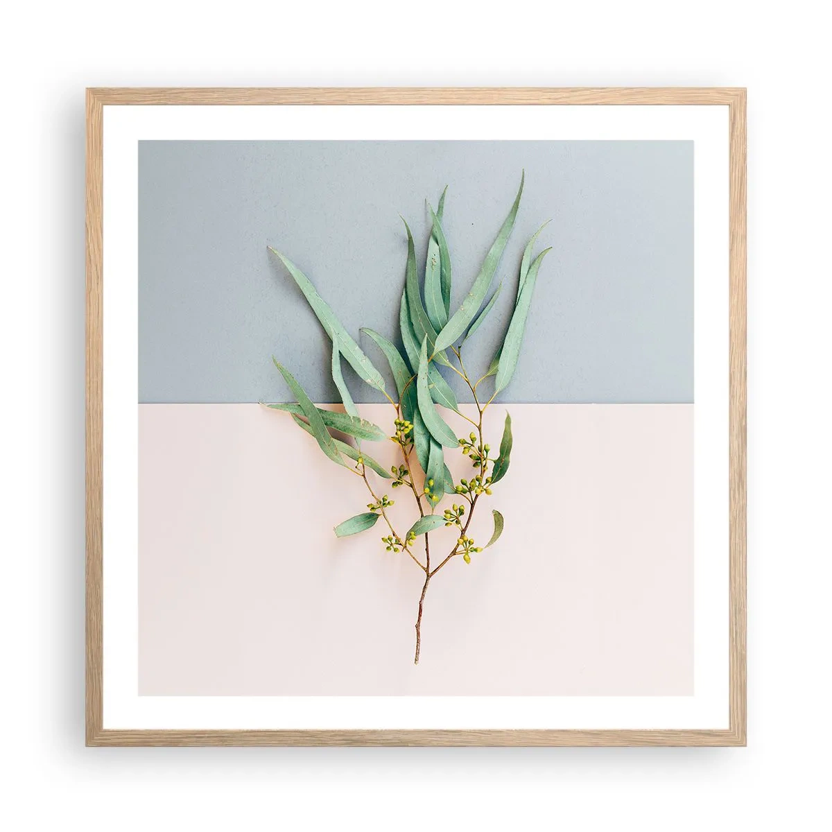 Affiche dans un chêne clair - Poster - Subtilité pastel - 60x60 cm