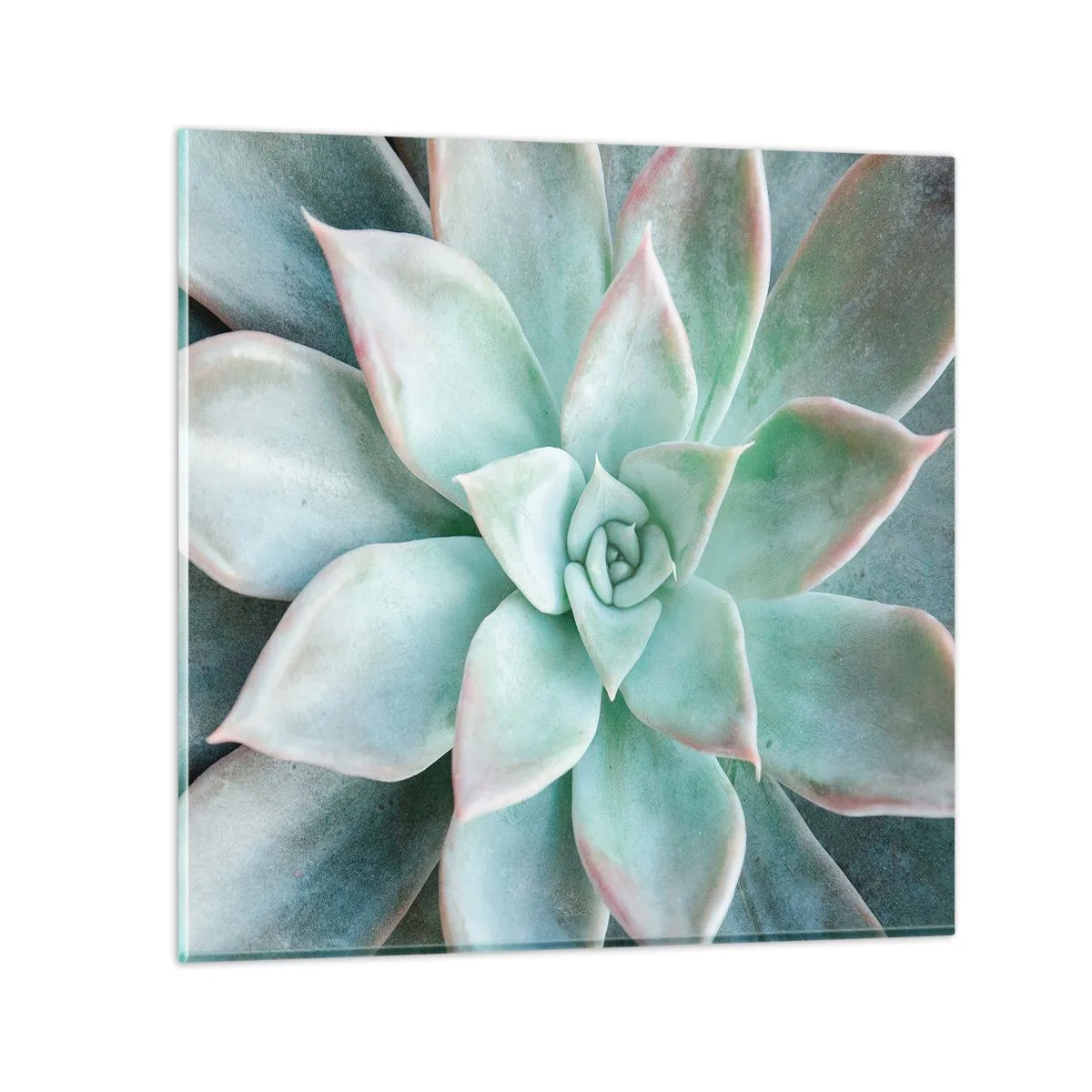 Impression sur verre - Image sur verre - Le coeur du désert - 40x40 cm