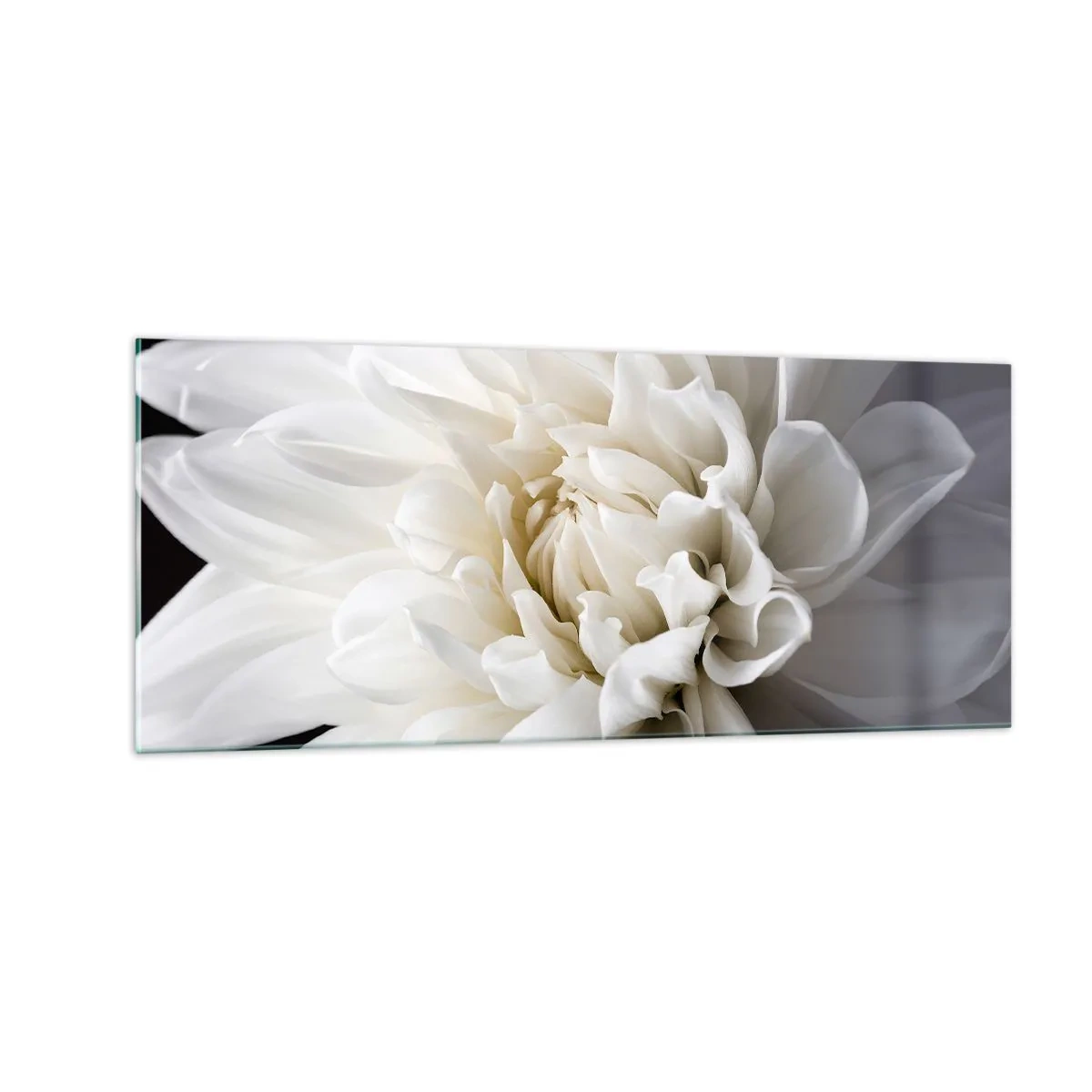 Impression sur verre - Image sur verre - Le matin de la jeune mariéé - 100x40 cm