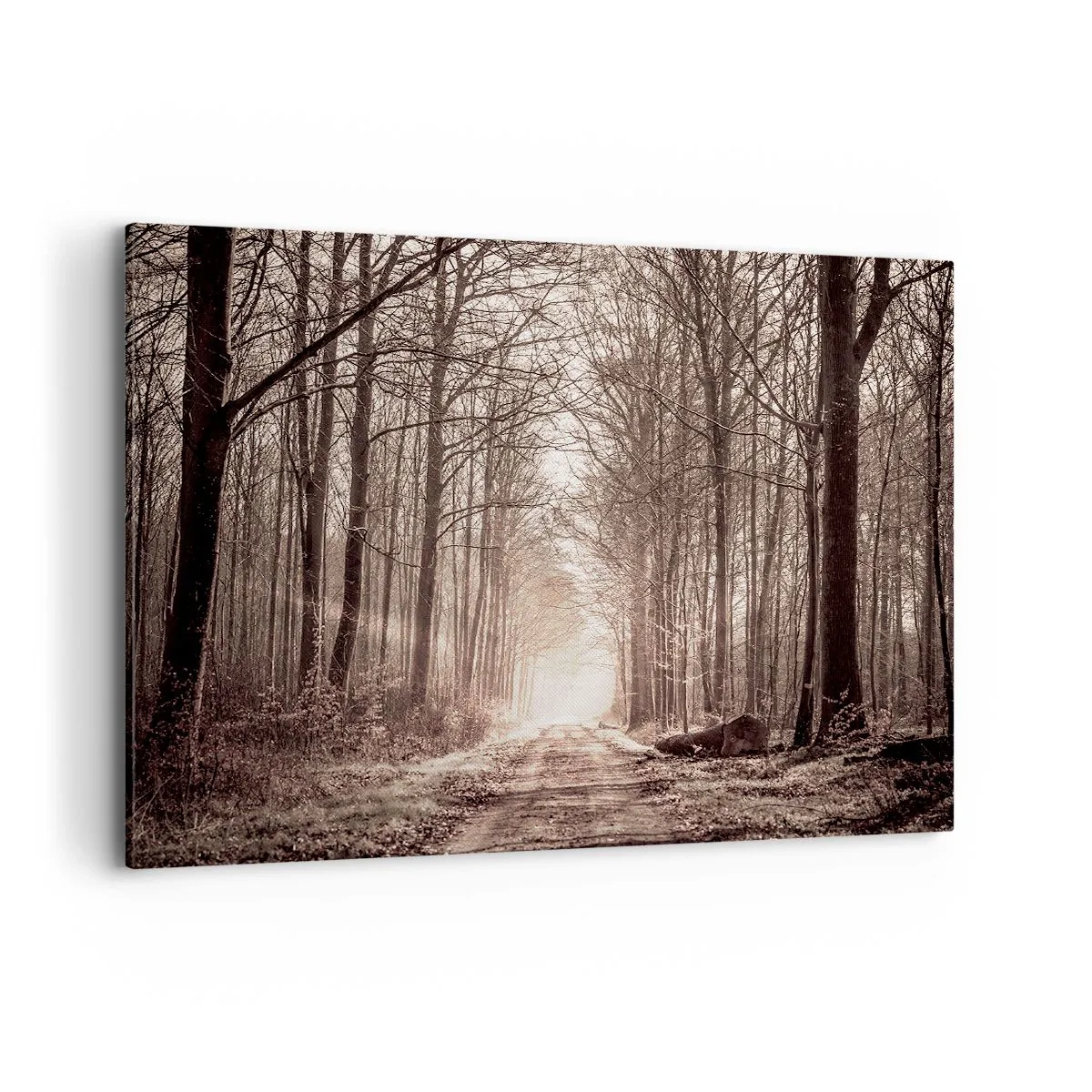 Impression sur toile - Image sur toile - Un chemin forestier parmi des arbres aux tons sépia - 100x70cm - Cathédrale de la forêt - Décoration murale moderne pour le salon et la chambre ARTTOR