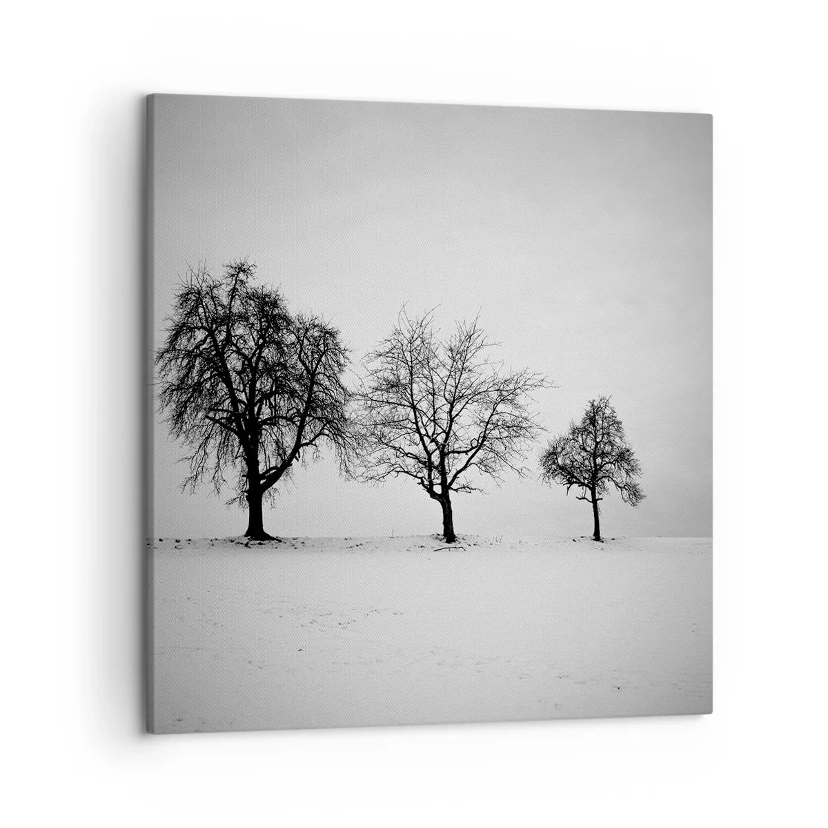 Impression sur toile - Image sur toile - A quoi rêvent-ils? - 50x50 cm