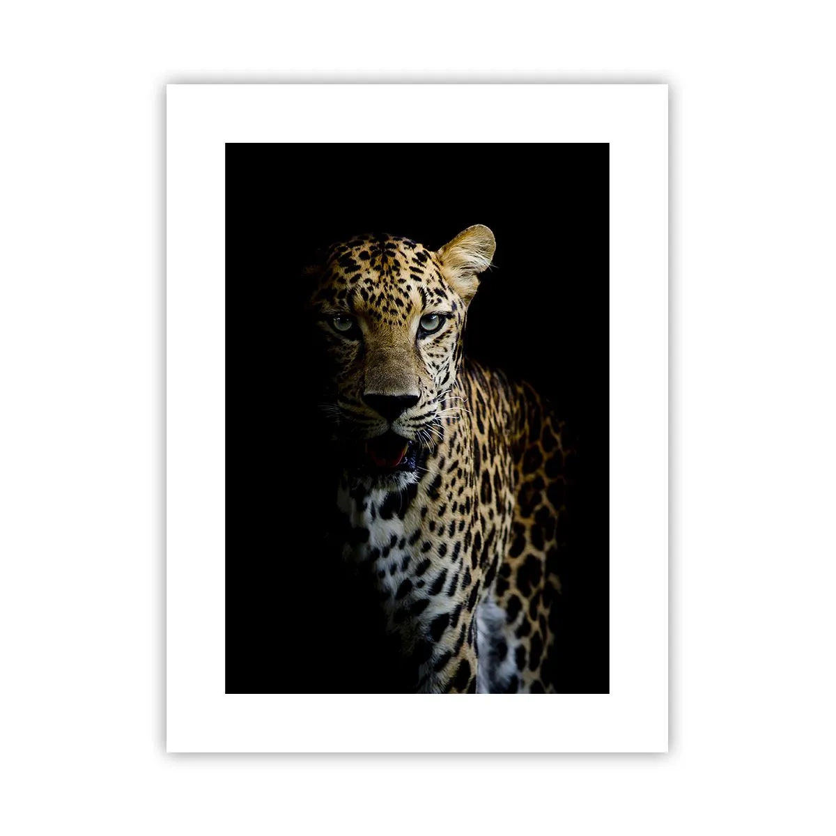 Affiche - Poster - Beauté sombre - 30x40 cm