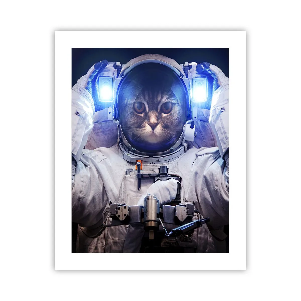 Affiche - Poster - Houston, vous avez un problème - 40x50 cm