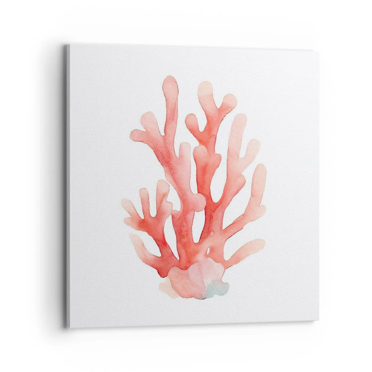 Impression sur toile - Image sur toile - Corail couleur corail - 70x70 cm