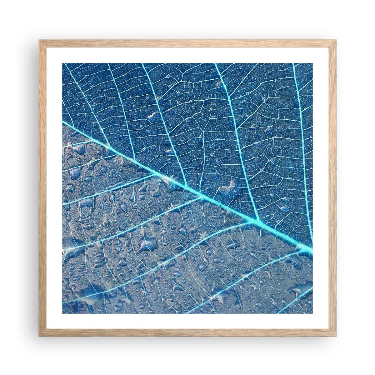 Affiche dans un chêne clair - Poster - La vie en bleu - 60x60 cm