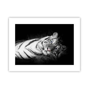 Affiche - Poster - Sauvagerie et paix - 40x30 cm