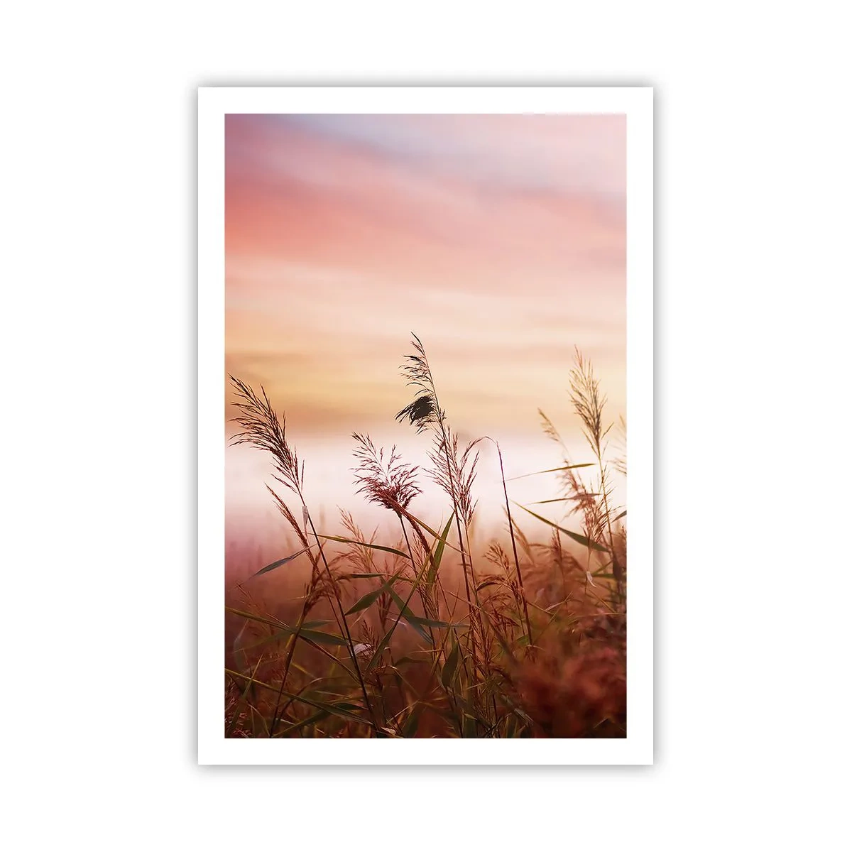 Affiche - Poster - Cerfs-volants, pissenlits, vent - 61x91 cm