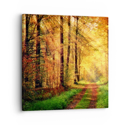 Impression sur toile - Image sur toile - Silence d'or en forêt - 30x30 cm