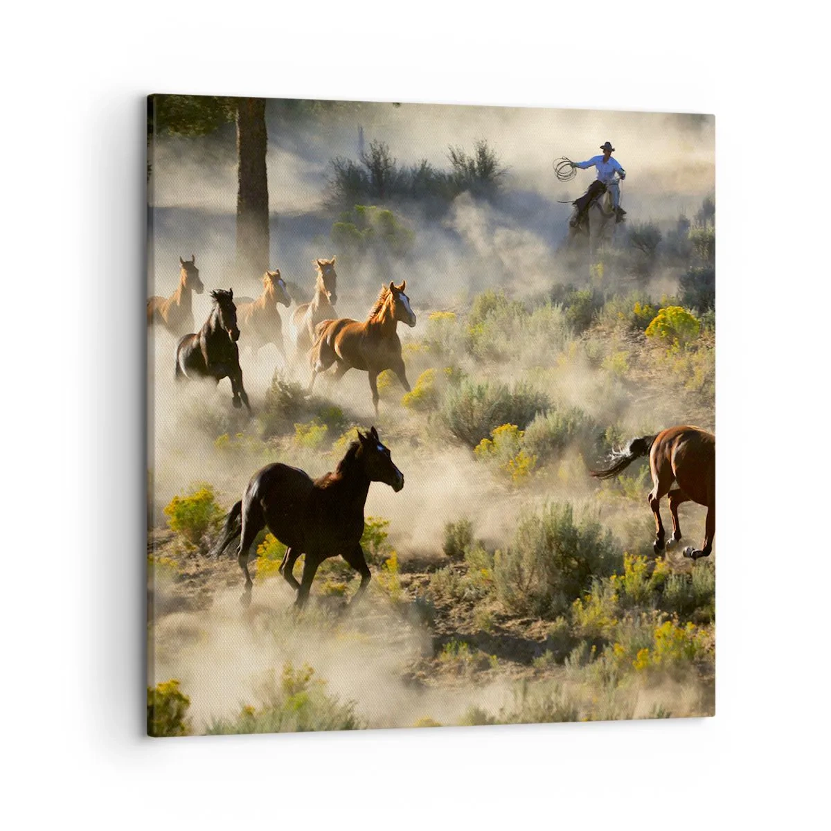 Impression sur toile - Image sur toile - Rivalité - liberté ou force masculine ? - 50x50 cm