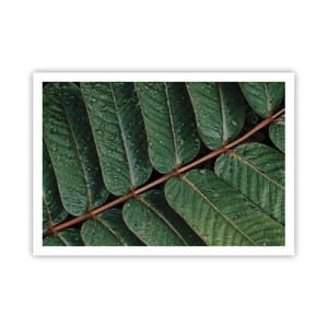 Affiche - Poster - Macro shot de feuilles vertes avec des gouttes de rosée - 100x70cm - Au rythme de la verdure - Décoration murale moderne pour le salon et la chambre ARTTOR