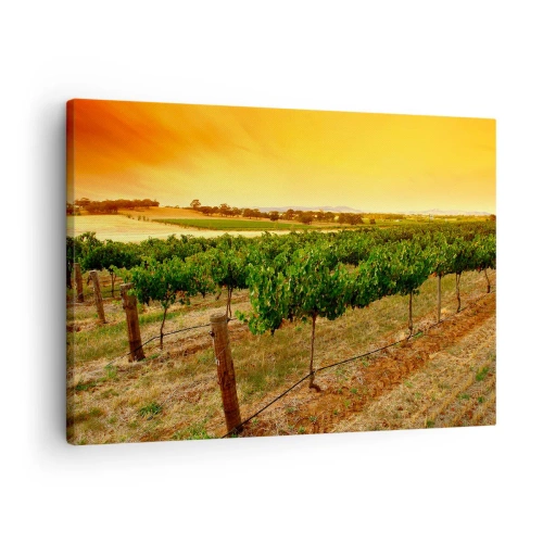 Impression sur toile - Image sur toile - Vignes dans une plantation au coucher du soleil doré - 70x50cm - S'abreuver du soleil - Décoration murale moderne pour le salon et la chambre ARTTOR